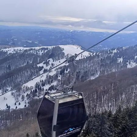 Speedy Gondola * Brzeće