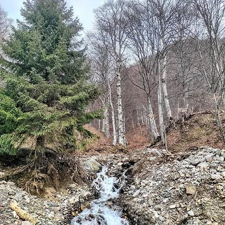 Speedy Gondola Διαμέρισμα *