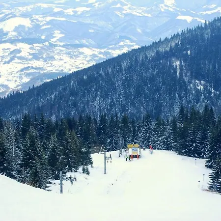 Apartament Speedy Gondola *