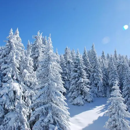 Speedy Gondola * Brzeće