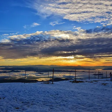 Apartament Speedy Gondola *