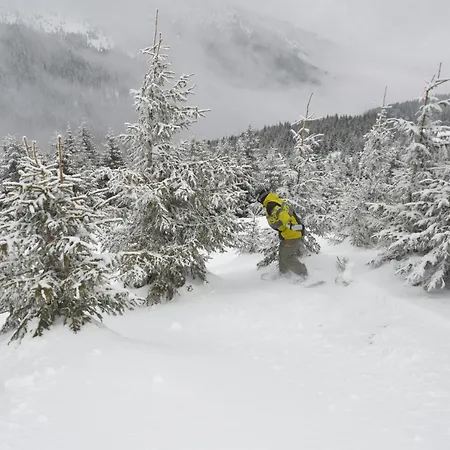 Speedy Gondola דירה