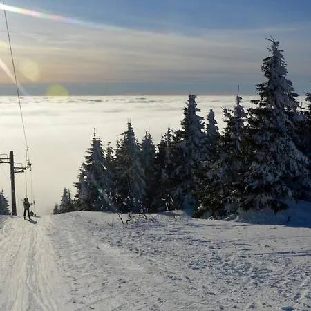 Speedy Gondola Apartament *