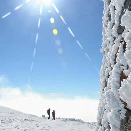 Speedy Gondola Apartament