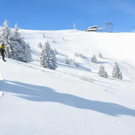 Apartament Speedy Gondola Brzeće