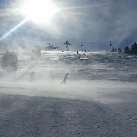 Speedy Gondola * Brzeće