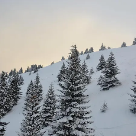 Speedy Gondola * Brzeće