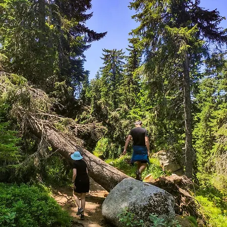 Speedy Gondola Apartament *