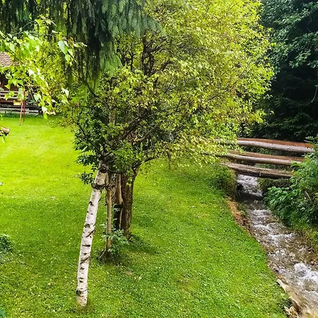 Apartament Speedy Gondola Brzeće