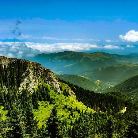 Speedy Gondola * Brzeće