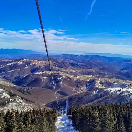 Speedy Gondola * Brzeće