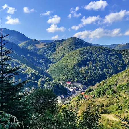 Speedy Gondola * Brzeće